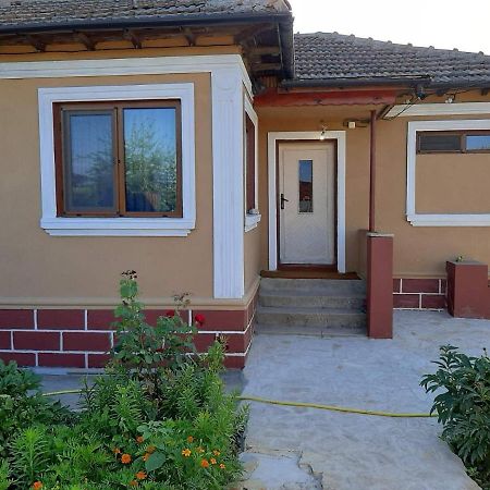 Tsarichino Къща За Гости Релакс מראה חיצוני תמונה